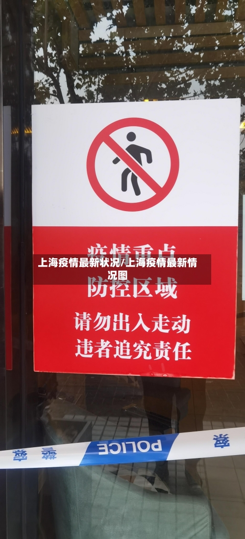 上海疫情最新状况/上海疫情最新情况图
