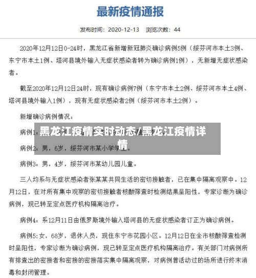 黑龙江疫情实时动态/黑龙江疫情详情-第3张图片