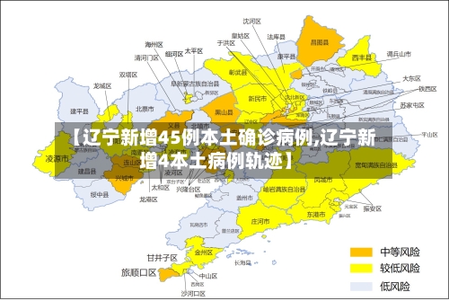 【辽宁新增45例本土确诊病例,辽宁新增4本土病例轨迹】-第3张图片