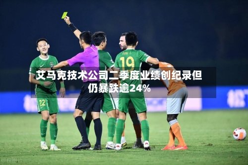 艾马克技术公司二季度业绩创纪录但仍暴跌逾24%-第3张图片