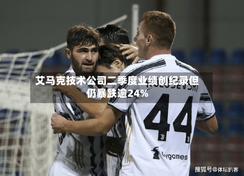 艾马克技术公司二季度业绩创纪录但仍暴跌逾24%-第2张图片