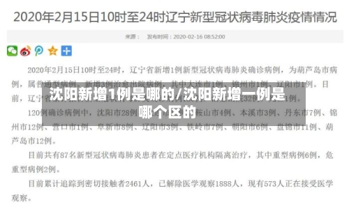 沈阳新增1例是哪的/沈阳新增一例是哪个区的-第2张图片