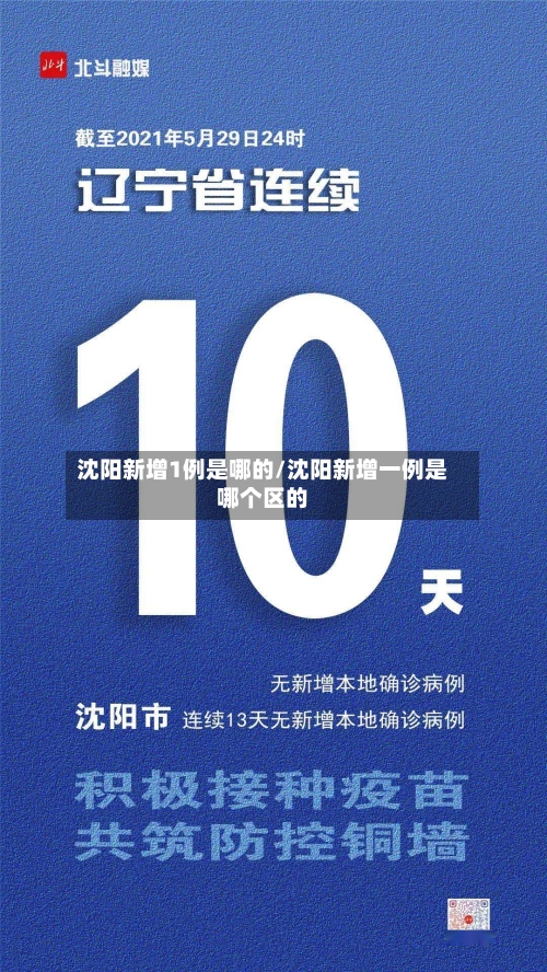 沈阳新增1例是哪的/沈阳新增一例是哪个区的