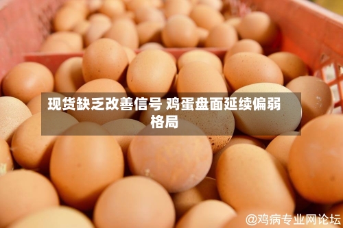 现货缺乏改善信号 鸡蛋盘面延续偏弱格局