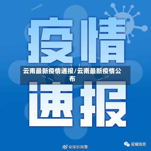 云南最新疫情通报/云南最新疫情公布-第3张图片