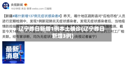 辽宁昨日新增1例本土确诊(辽宁昨日新增3例)-第3张图片