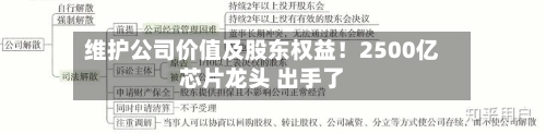 维护公司价值及股东权益！2500亿芯片龙头 出手了