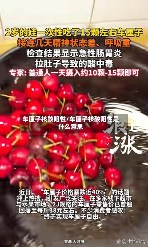 车厘子核酸阳性/车厘子核酸阳性是什么意思-第2张图片