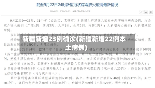 新疆新增23例确诊(新疆新增22例本土病例)-第2张图片