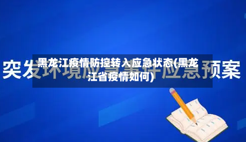 黑龙江疫情防控转入应急状态(黑龙江省疫情如何)-第2张图片