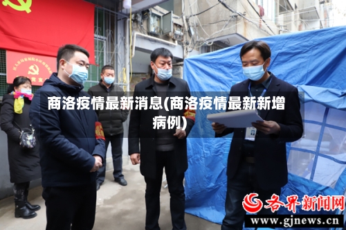 商洛疫情最新消息(商洛疫情最新新增病例)-第3张图片