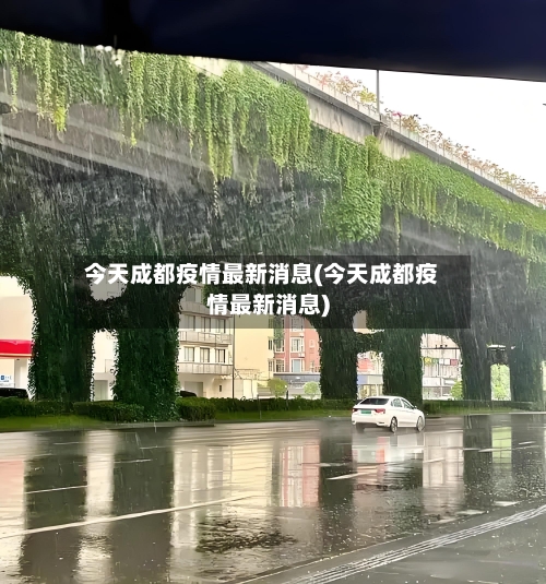 今天成都疫情最新消息(今天成都疫情最新消息)-第3张图片