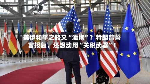 美伊和平之路又“添堵	”？特朗普誓言报复	，还想动用“关税武器”！-第2张图片
