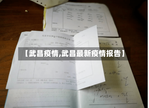 【武昌疫情,武昌最新疫情报告】-第3张图片