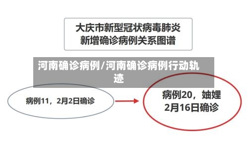 河南确诊病例/河南确诊病例行动轨迹-第2张图片