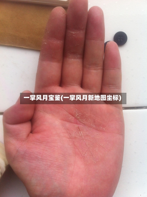 一掌风月宝鉴(一掌风月新地图坐标)