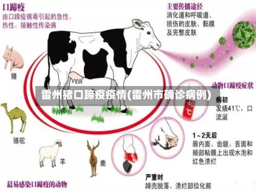 雷州猪口蹄疫疫情(雷州市确诊病例)-第2张图片
