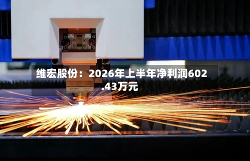 维宏股份：2026年上半年净利润602.43万元-第3张图片