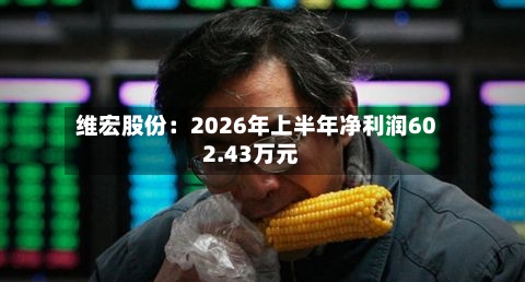 维宏股份：2026年上半年净利润602.43万元-第2张图片