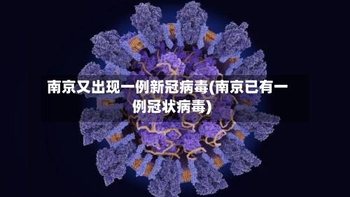 南京又出现一例新冠病毒(南京已有一例冠状病毒)