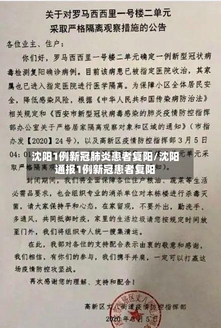 沈阳1例新冠肺炎患者复阳/沈阳通报1例新冠患者复阳-第2张图片