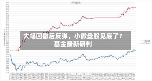大幅回撤后反弹，小微盘股见底了？基金最新研判