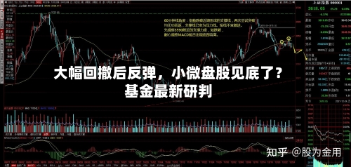 大幅回撤后反弹，小微盘股见底了？基金最新研判-第2张图片