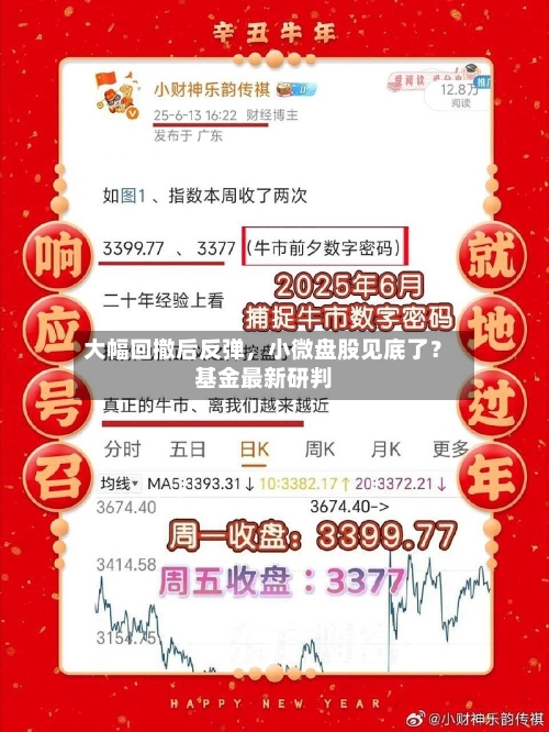 大幅回撤后反弹	，小微盘股见底了？基金最新研判-第3张图片