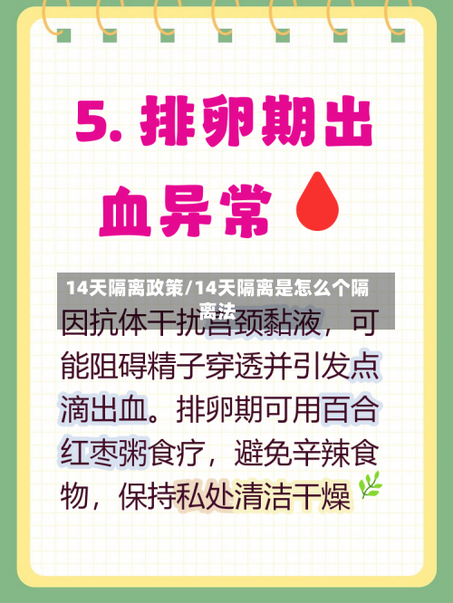14天隔离政策/14天隔离是怎么个隔离法-第2张图片