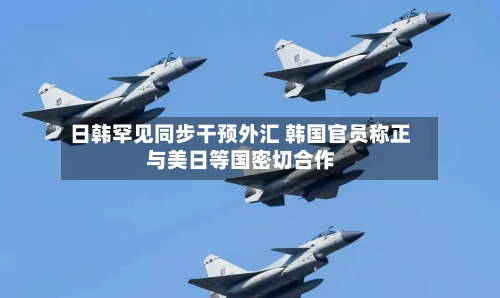 日韩罕见同步干预外汇 韩国官员称正与美日等国密切合作-第2张图片