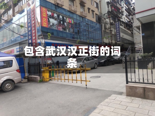 包含武汉汉正街的词条