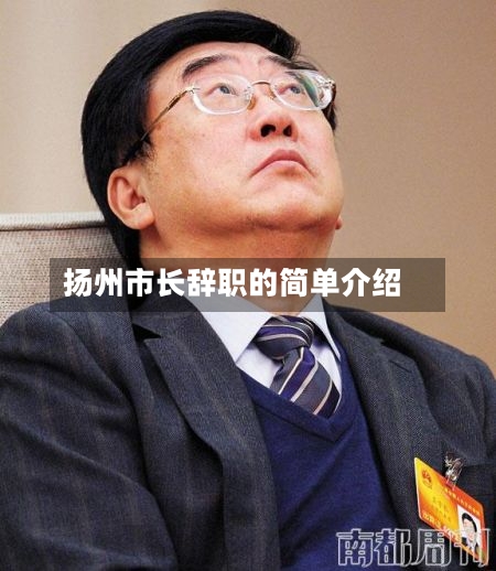 扬州市长辞职的简单介绍