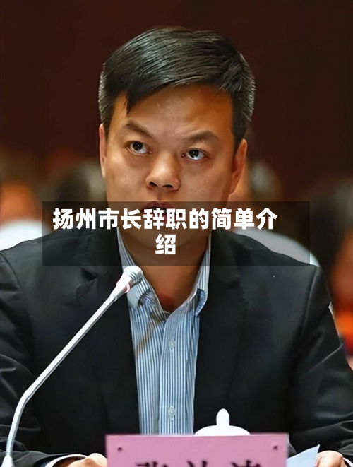 扬州市长辞职的简单介绍-第3张图片