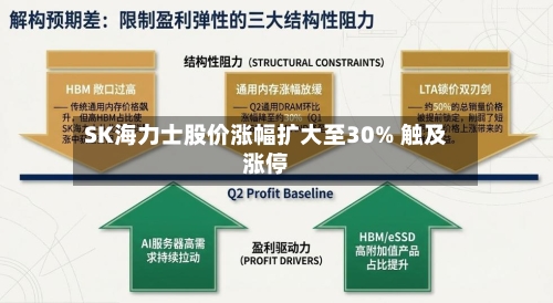 SK海力士股价涨幅扩大至30% 触及涨停