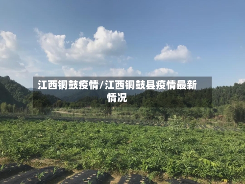 江西铜鼓疫情/江西铜鼓县疫情最新情况