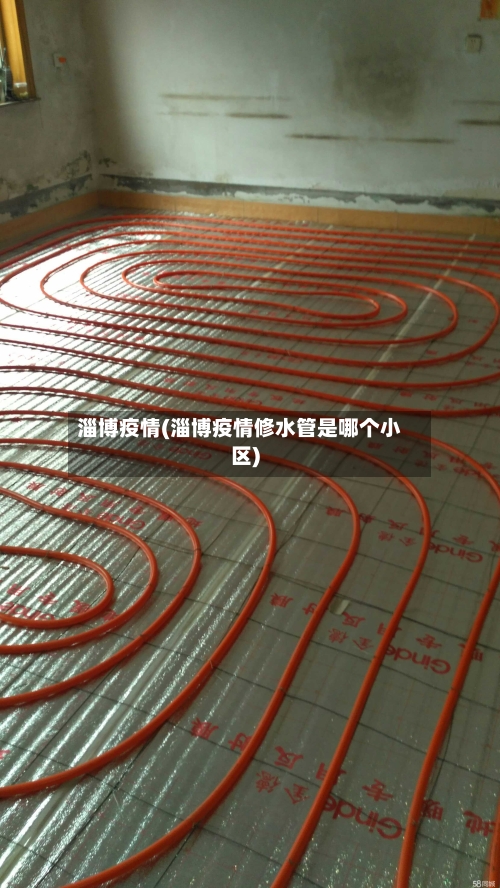 淄博疫情(淄博疫情修水管是哪个小区)
