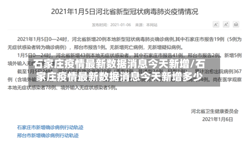 石家庄疫情最新数据消息今天新增/石家庄疫情最新数据消息今天新增多少-第3张图片