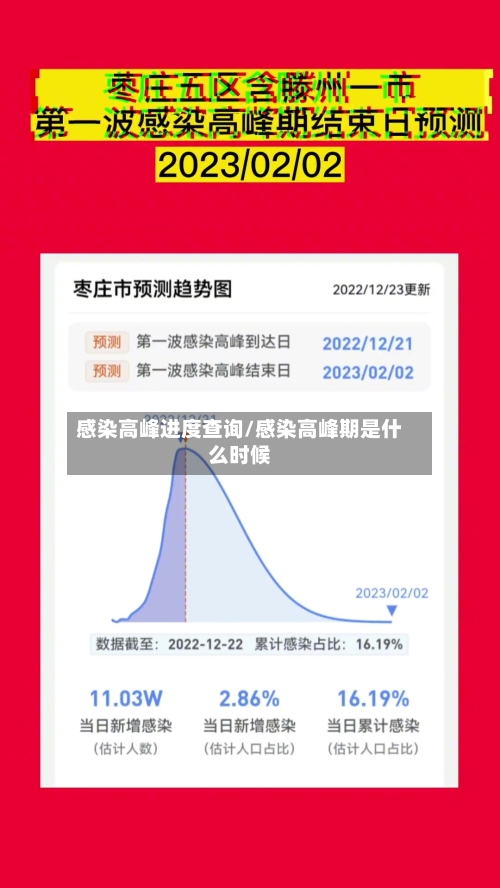 感染高峰进度查询/感染高峰期是什么时候