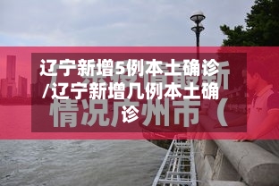辽宁新增5例本土确诊/辽宁新增几例本土确诊
