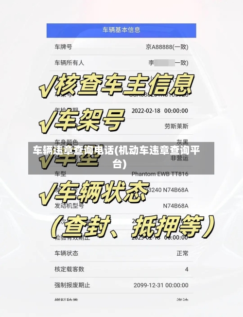 车辆违章查询电话(机动车违章查询平台)