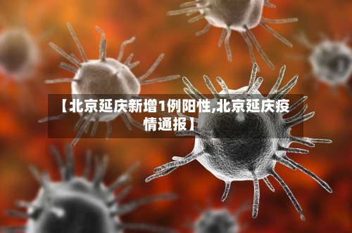 【北京延庆新增1例阳性,北京延庆疫情通报】-第2张图片