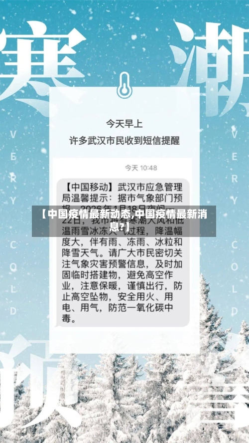【中国疫情最新动态,中国疫情最新消息?】-第2张图片