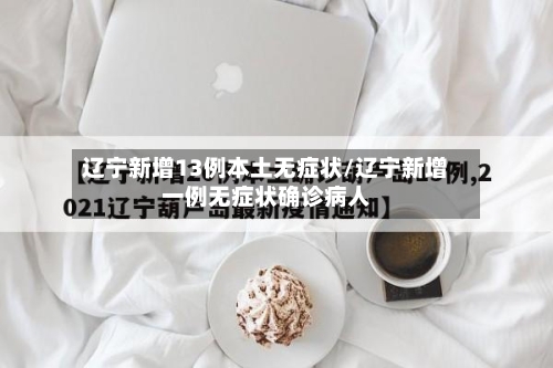 辽宁新增13例本土无症状/辽宁新增一例无症状确诊病人