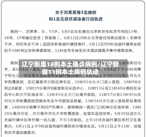 辽宁新增18例本土确诊病例/辽宁新增11例本土病例轨迹