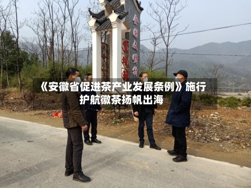 《安徽省促进茶产业发展条例》施行 护航徽茶扬帆出海-第2张图片