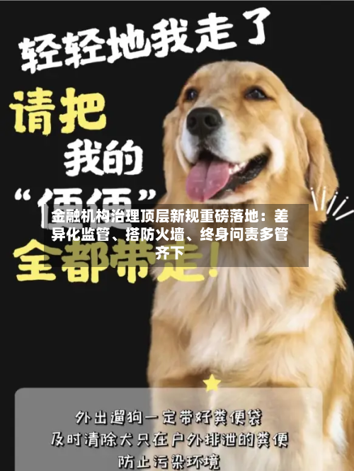 金融机构治理顶层新规重磅落地：差异化监管、搭防火墙	、终身问责多管齐下-第3张图片