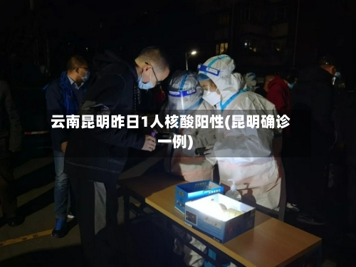 云南昆明昨日1人核酸阳性(昆明确诊一例)-第3张图片