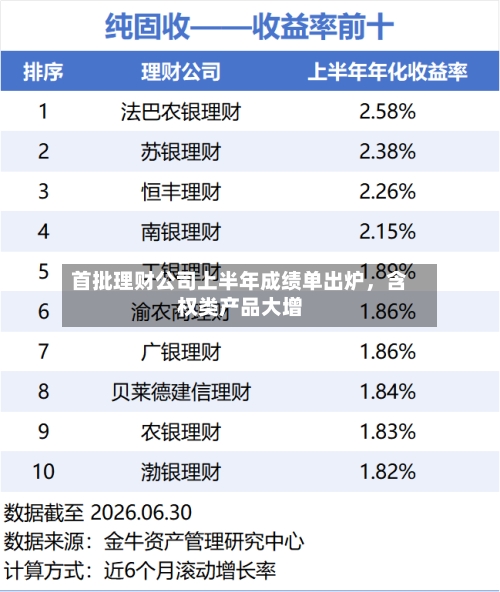 首批理财公司上半年成绩单出炉，含权类产品大增-第2张图片