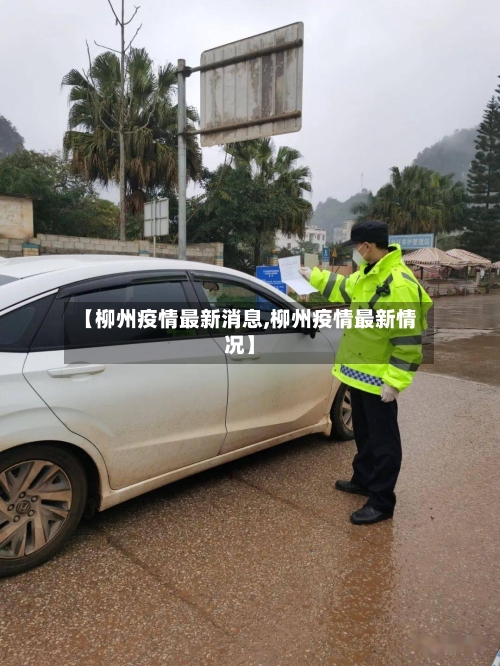 【柳州疫情最新消息,柳州疫情最新情况】-第3张图片