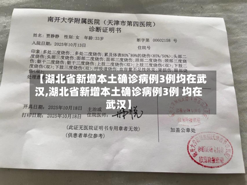 【湖北省新增本土确诊病例3例均在武汉,湖北省新增本土确诊病例3例 均在武汉】-第3张图片